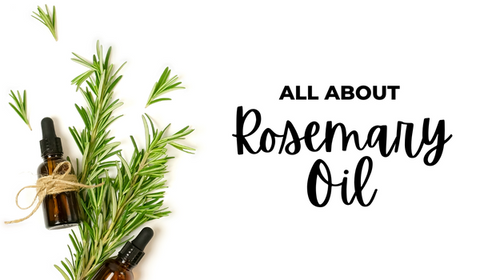 All About Rosemary Oil